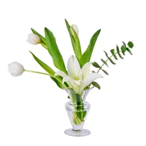 Ana Sayfa ivory minimal p1461