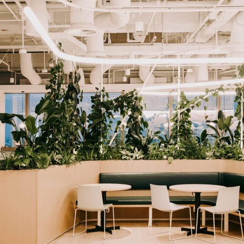 ebrd joinery planting 04 port mr scaled